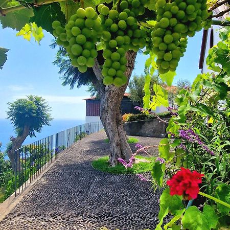 Torre Bella Gardens Vila Arco da Calheta  Exterior foto