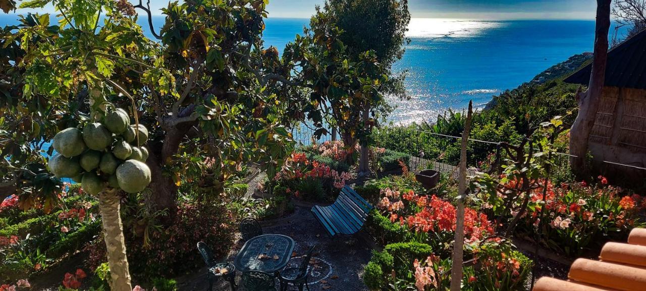 Torre Bella Gardens Vila Arco da Calheta  Exterior foto