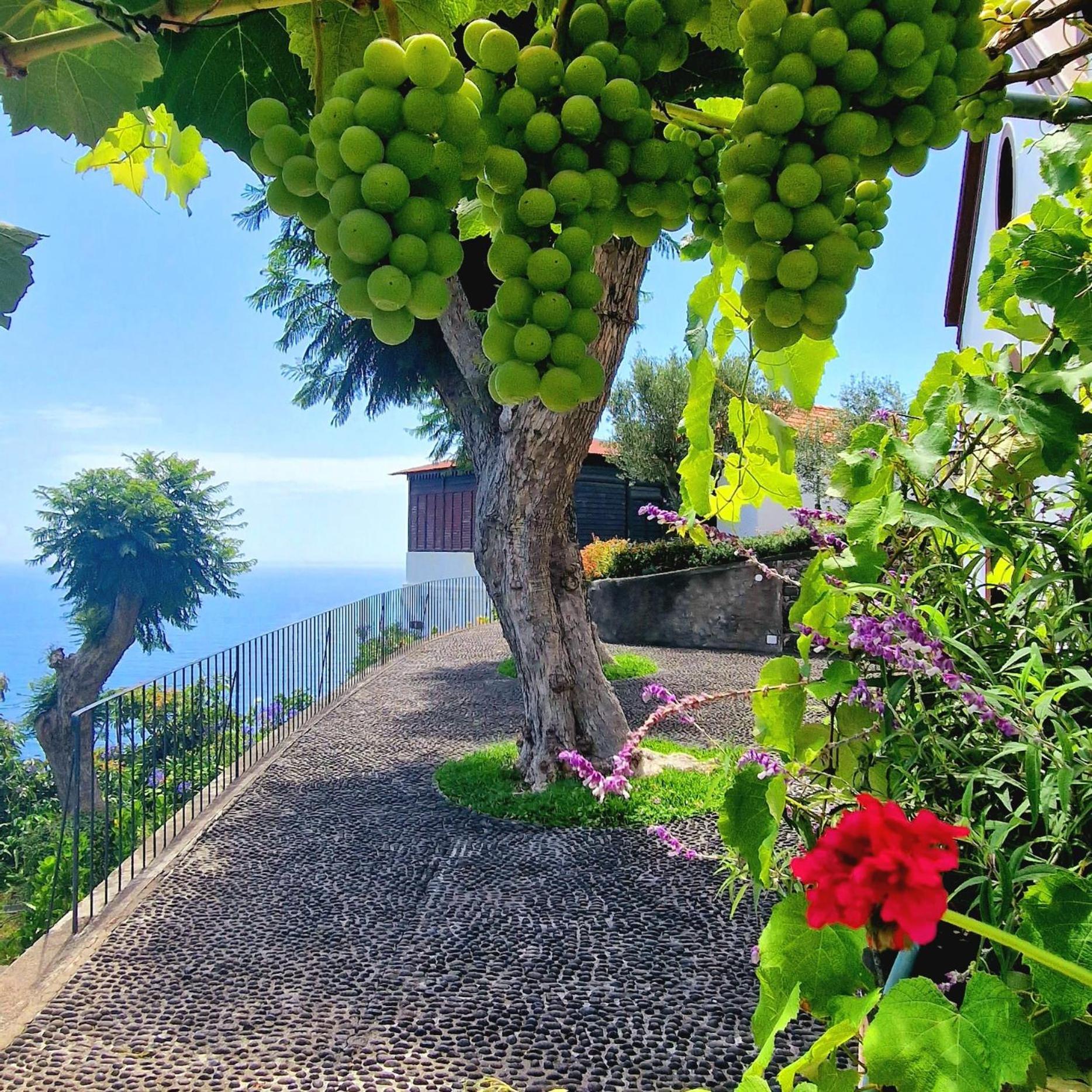 Torre Bella Gardens Vila Arco da Calheta  Exterior foto