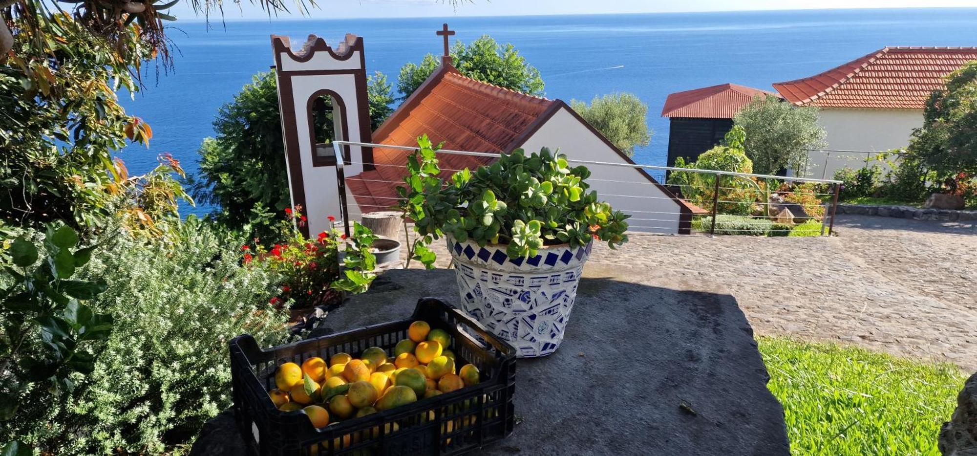 Torre Bella Gardens Vila Arco da Calheta  Exterior foto