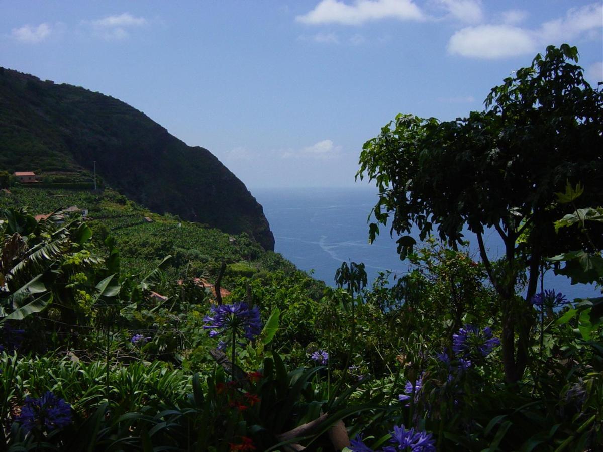 Torre Bella Gardens Vila Arco da Calheta  Exterior foto